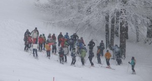 briefing-1 briefing-1